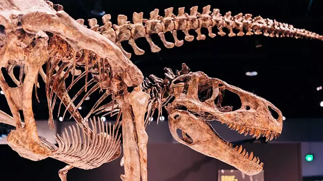 Image: Michigan Science Center’s T. rex exhibition extended again