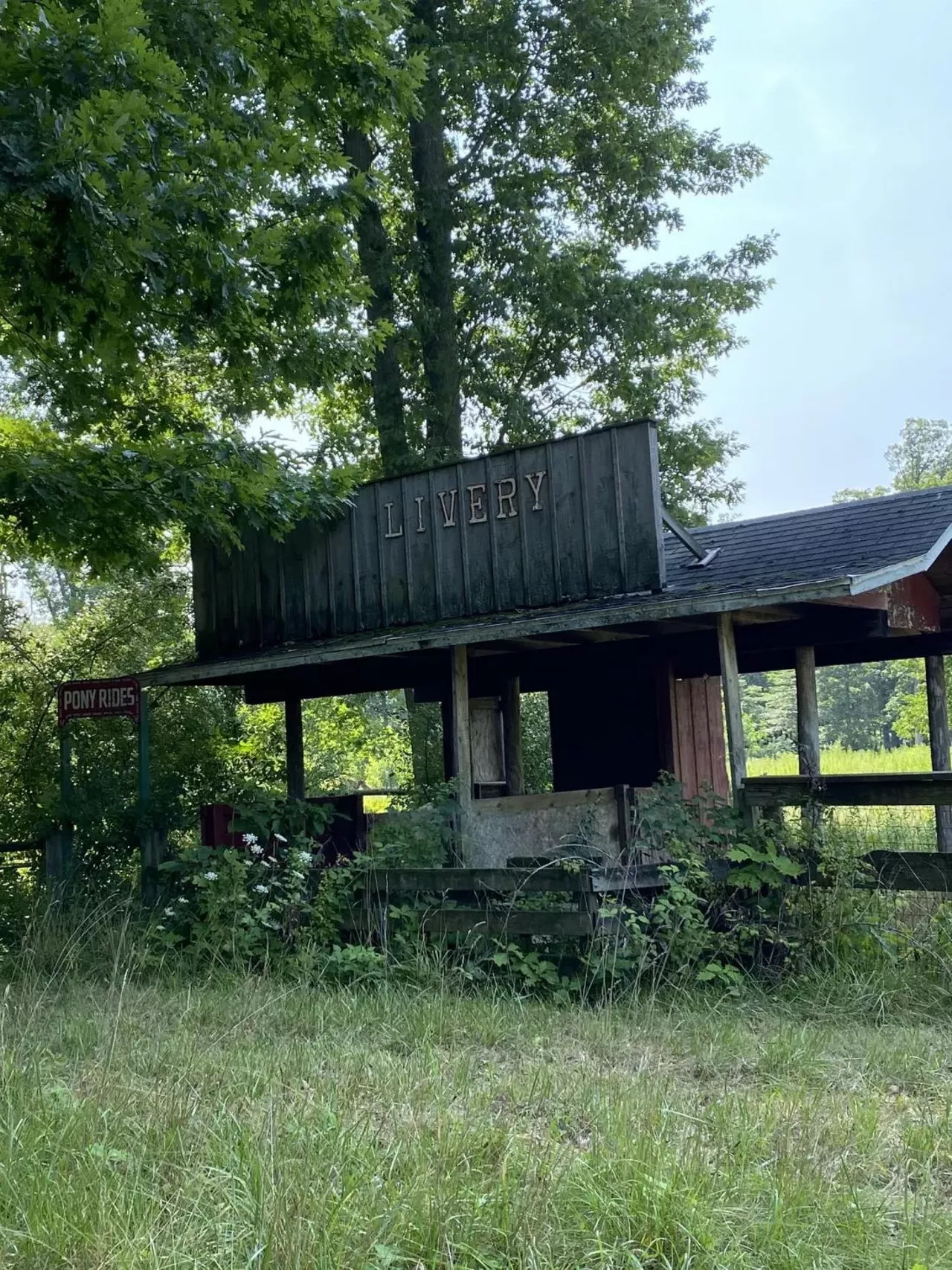 Image: Michigan's abandoned Deer Forest Fun Park is up for auction &#151; let's take a tour