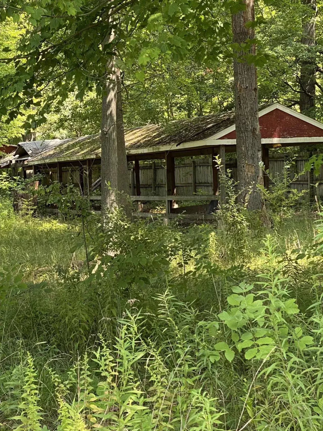 Image: Michigan's abandoned Deer Forest Fun Park is up for auction &#151; let's take a tour