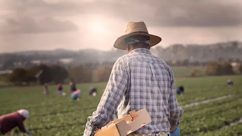 Guatemalan farmers allege a Michigan labor contractor, Purpose Point Harvesting, engaged in human trafficking.