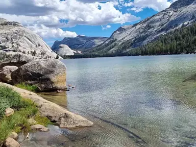 Image: My Trip Through the National Parks in California: Exploring the Golden State