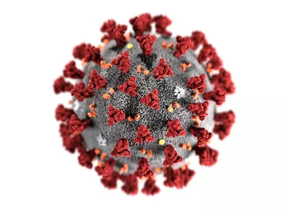 A visualization of the coronavirus.