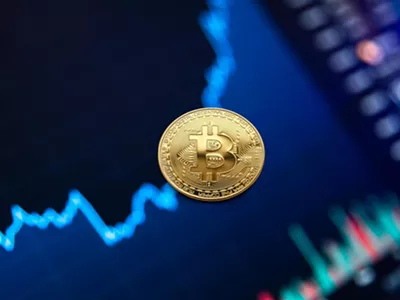 Image: Bitcoin VIP: The Exclusive Platform