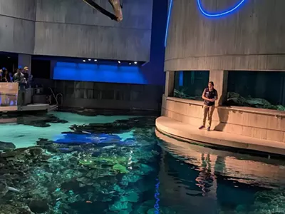 Image: Top 10 Places to Visit in Maryland: A Local Guide to the Best Spots