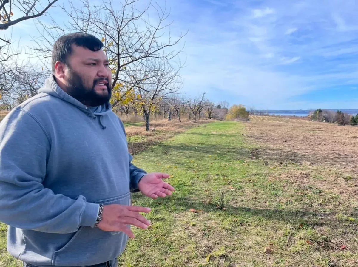 Image: Raul Gomez, operations manager at Wunsch Farms, walks through an orchard on the Old Mission Peninsula in November 2024.