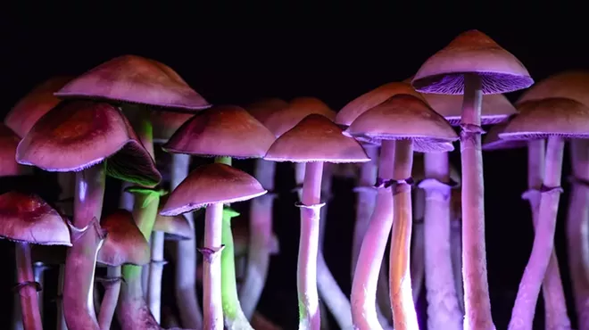 Image: Ann Arbor declares September Psychedelics Awareness Month —&nbsp;and we're tripping