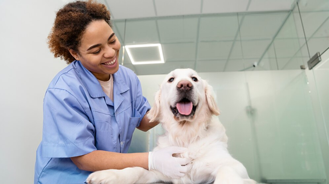 What to expect when you take your dog to the vet in Michigan