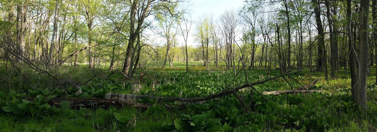 Where to go: Kensington Metropark
What to do: Hike, bike, swim, picnic
Why it made the list: On the outskirts of Metro Detroit lies 1,200 acres of beauty. It&#146;s a great place to spend a day when the weather is nice.
Photo: Kensington Metropark Facebook
