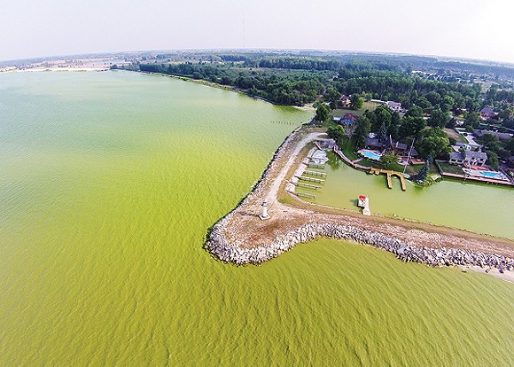 Experts say climate change is attributable to the growth of harmful algae blooms in Lake Erie, which can blanket the body of water with a thick, pea-green blanket. - Photo courtesy of Shawn Rames, exploringnwo.com