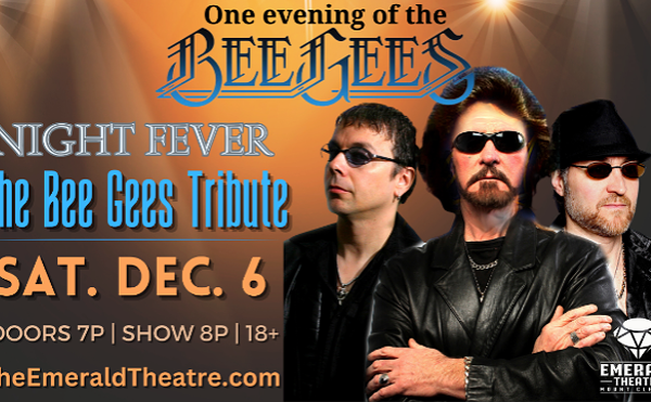 Image: Night Fever - The Bee Gees Tribute