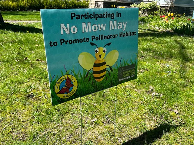 A “No Mow May” sign in a Traverse City yard. May 5, 2024.