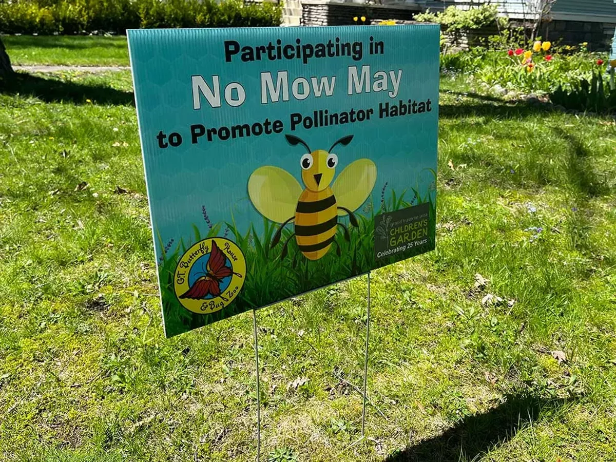 Image: A “No Mow May” sign in a Traverse City yard. May 5, 2024.