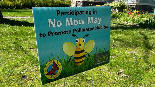 A “No Mow May” sign in a Traverse City yard. May 5, 2024.