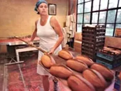 Image: On a roll
