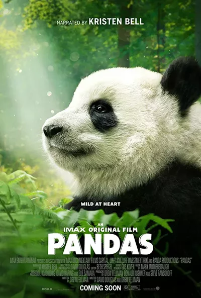 Image: Pandas