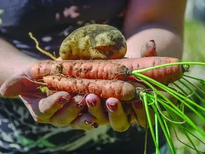 Swor mentioned she needed soup ingredients, then bent down and dug in the earth. In less than a minute, she produced a handful of vegetables.