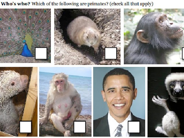 PETA president: Barack Obama *is* a primate. Here’s why that’s important.