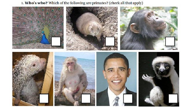 PETA president: Barack Obama *is* a primate. Here’s why that’s important.