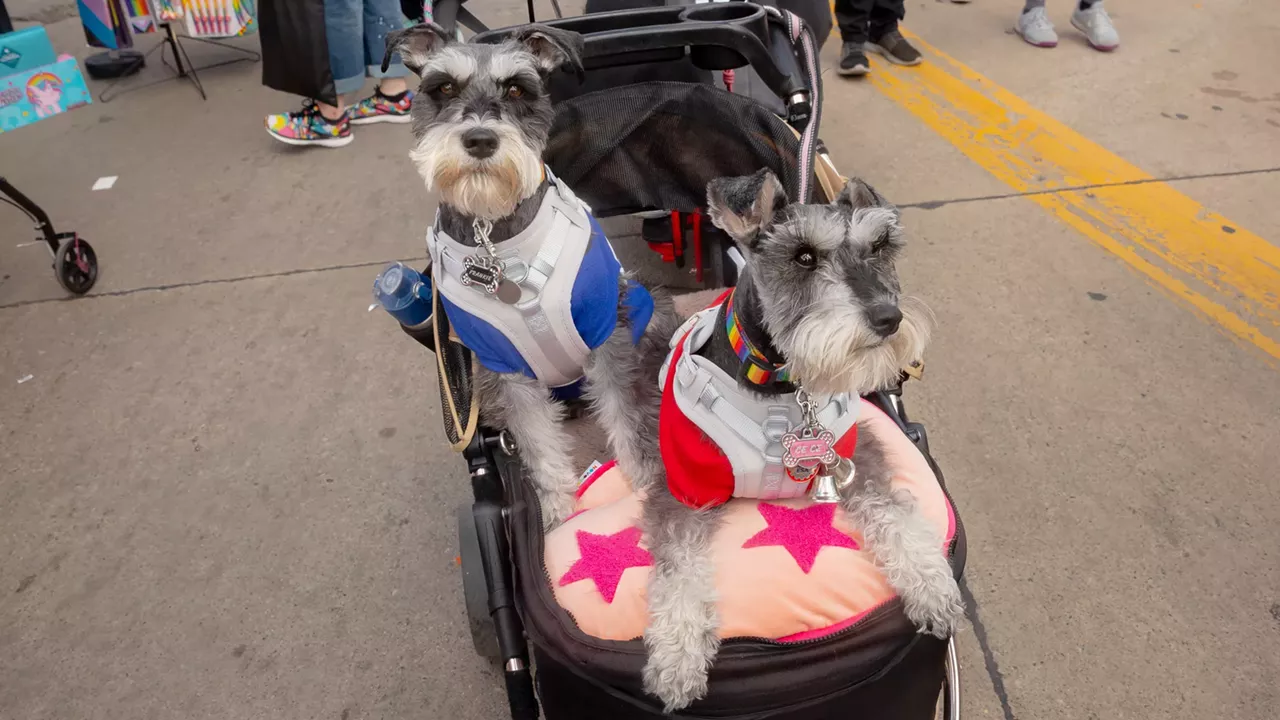 Image: Photos: Ferndale celebrates Pride Month 2025
