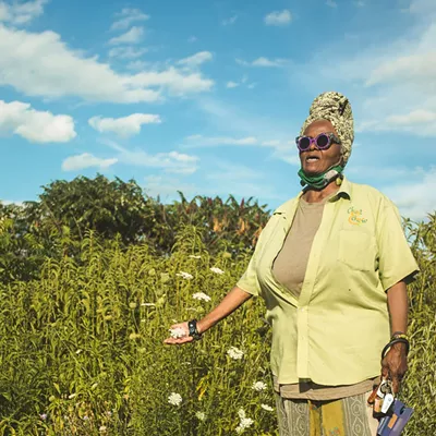 Image: Photos from an‘Herbal Walk &amp; Talk’ tour in Detroit and an herbal medicine class in Hamtramck