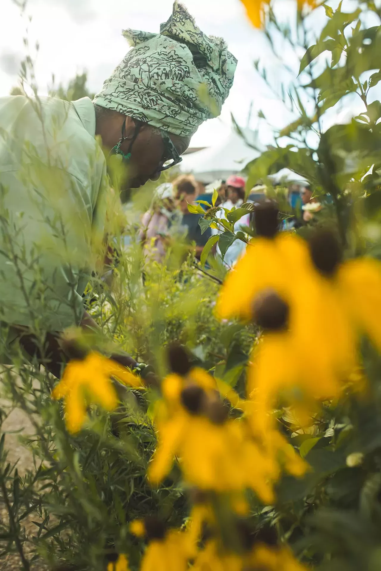 Image: Photos from an‘Herbal Walk &amp; Talk’ tour in Detroit and an herbal medicine class in Hamtramck