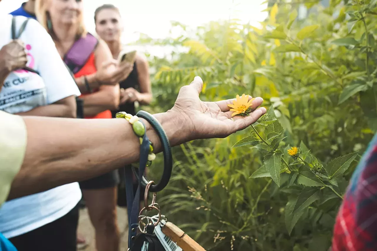 Image: Photos from an‘Herbal Walk &amp; Talk’ tour in Detroit and an herbal medicine class in Hamtramck