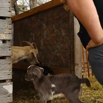 Image: Photos from Detroit Farm and Cider