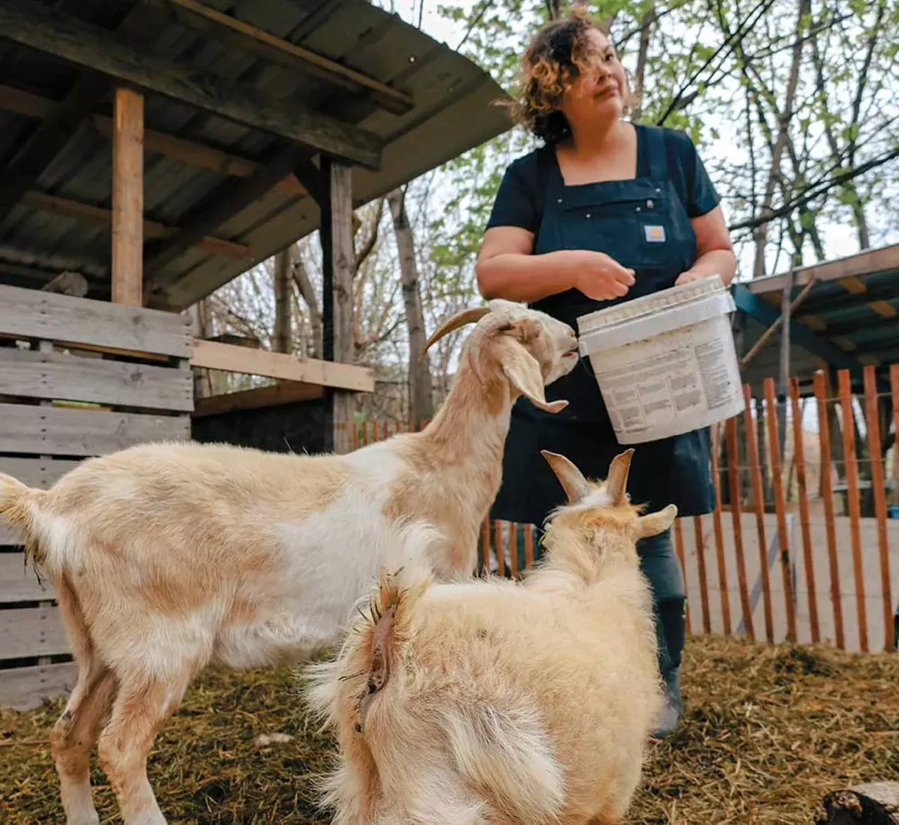 Image: Photos from Detroit Farm and Cider