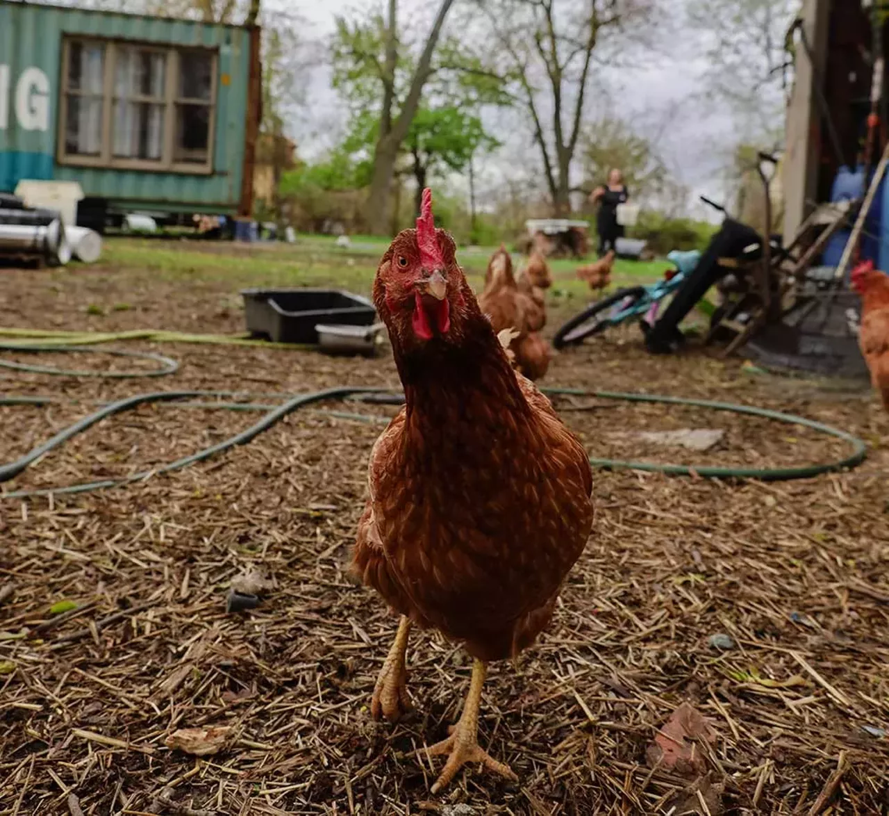 Image: Photos from Detroit Farm and Cider