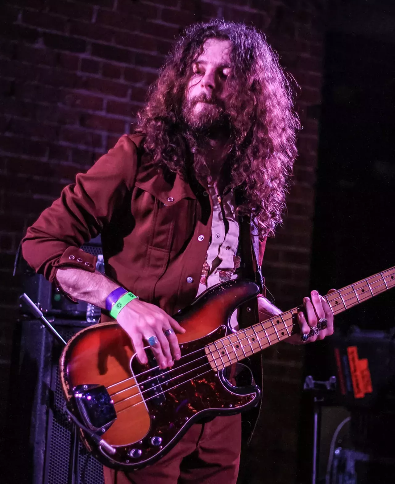 Image: PHOTOS: Sheepdogs at the Shelter