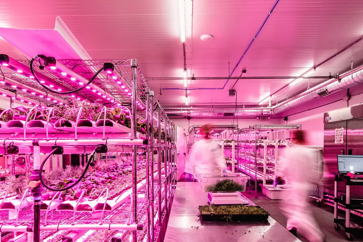 Image: Workers at Planted Detroit’s indoor growing facility.