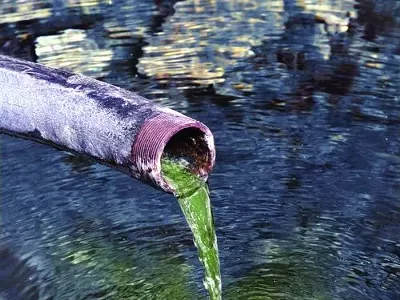 Image: Poisoning Ourselves