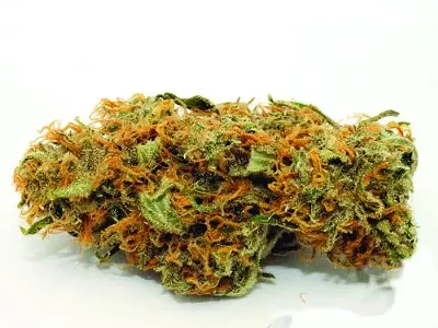 Image: Pot Quiz!