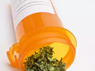 Image: Pot shots