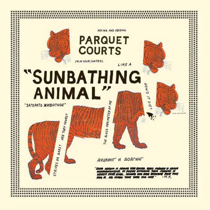 Record Review: Parquet Courts — Sunbathing Animal