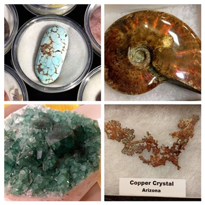 Examples of Minerals and Fossils available at the Auction