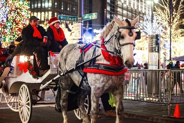 Take a carriage ride through downtown Detroit
    Hallmark movies always make carriage rides through the city look like the ideal setting for a wintry romantic night. Fortunately for us, we can try it out ourselves right in the heart of downtown.
    
    For more information, including pricing, see downtowndetroitparks.com.