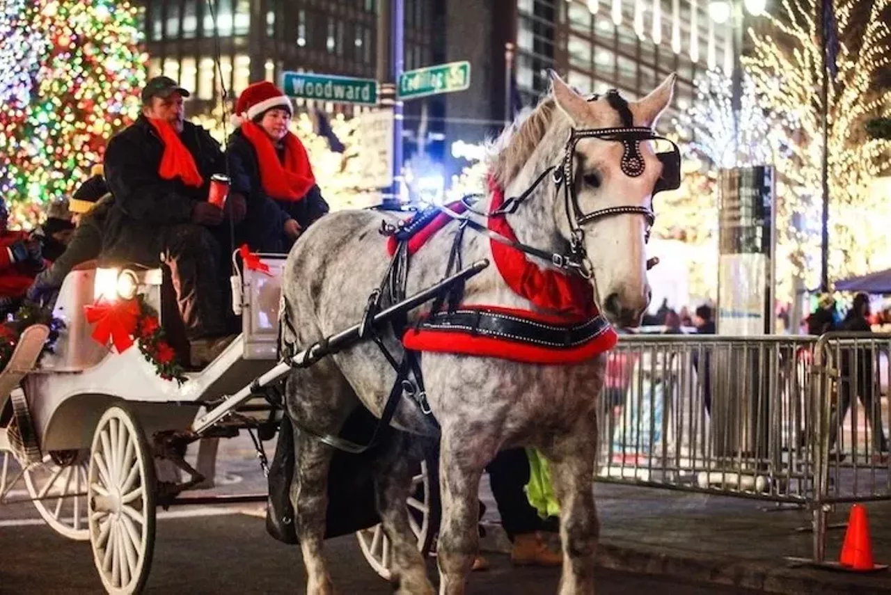 Take a carriage ride through downtown Detroit Hallmark movies always make carriage rides through the city look like the ideal setting for a wintry romantic night. Fortunately for us, we can try it out ourselves right in the heart of downtown. For more information, including pricing, see downtowndetroitparks.com.