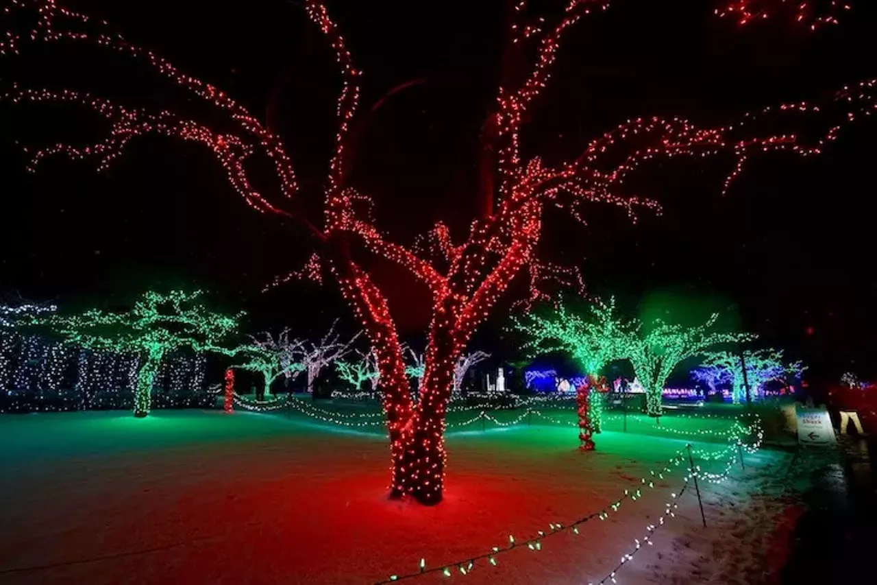 Check out the lights at the Detroit Zoo Go wild at the Detroit Zoo when it's transformed into a festive display of lights. While none of the animal exhibits will be open, visitors can check out the Wildlife Photographer of the Year exhibit. For hours and pricing, see detroitzoo.org.