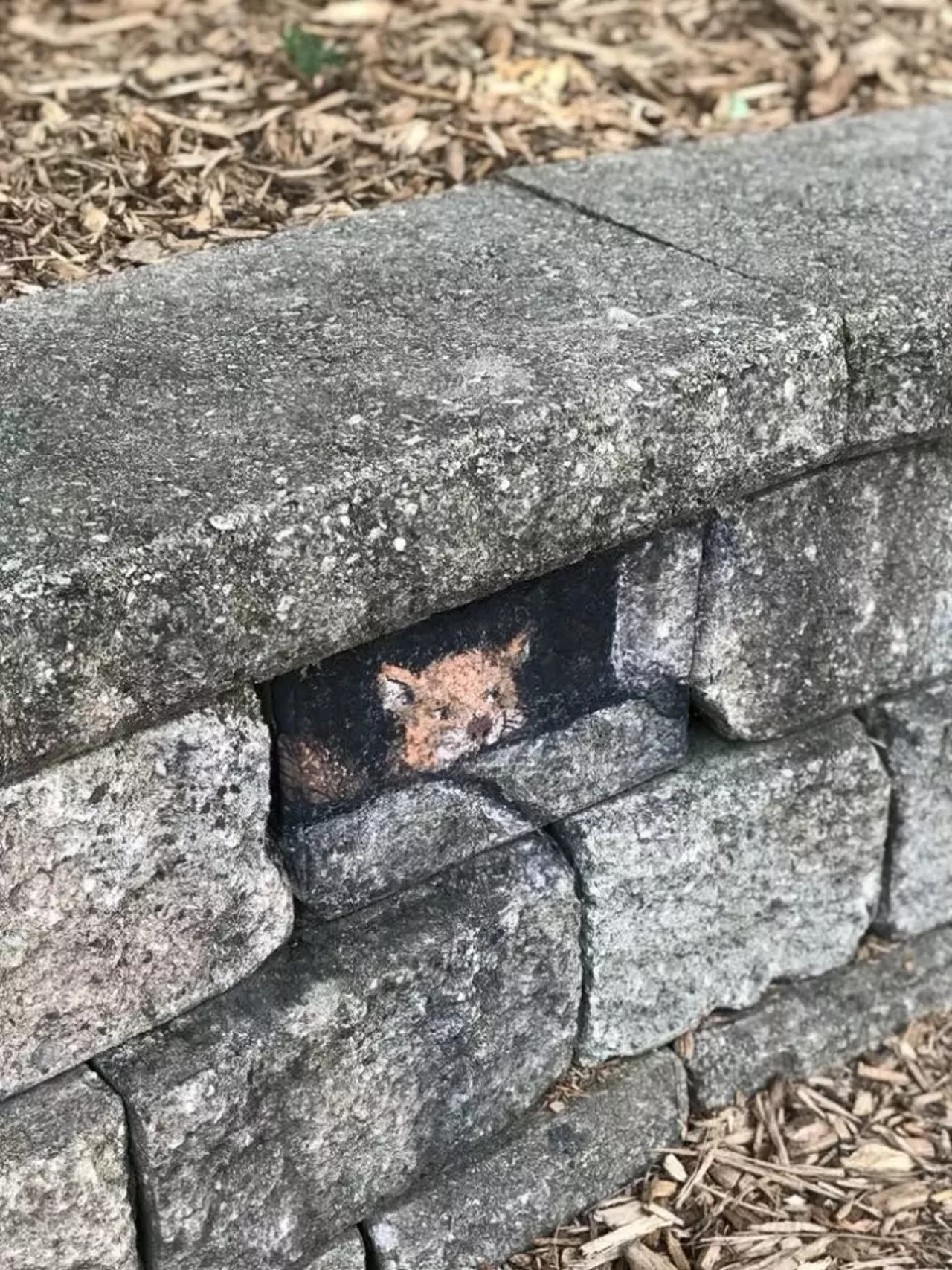 Image: See all of the adorable 3D chalk art made by this Michigan artist