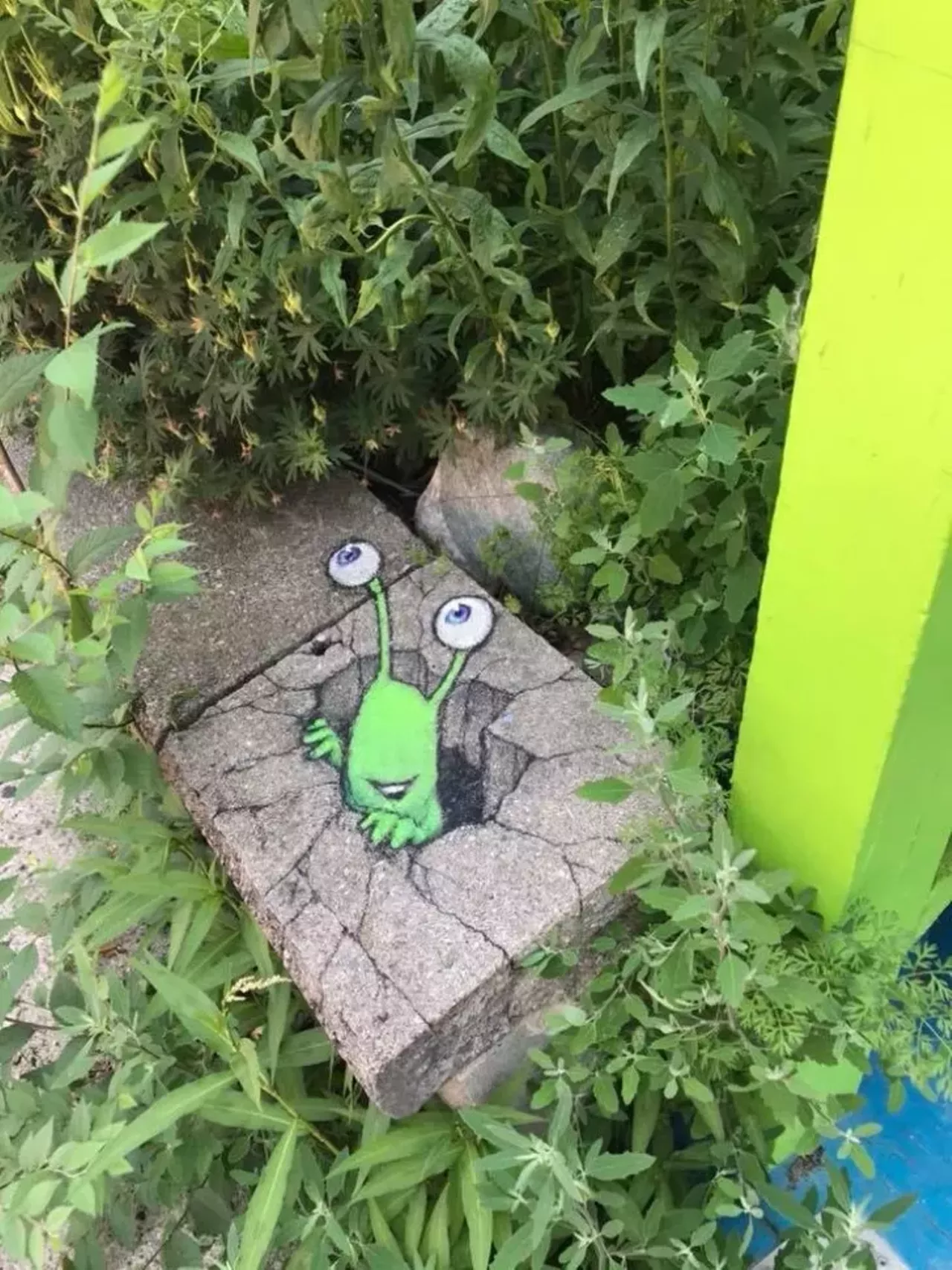 Image: See all of the adorable 3D chalk art made by this Michigan artist