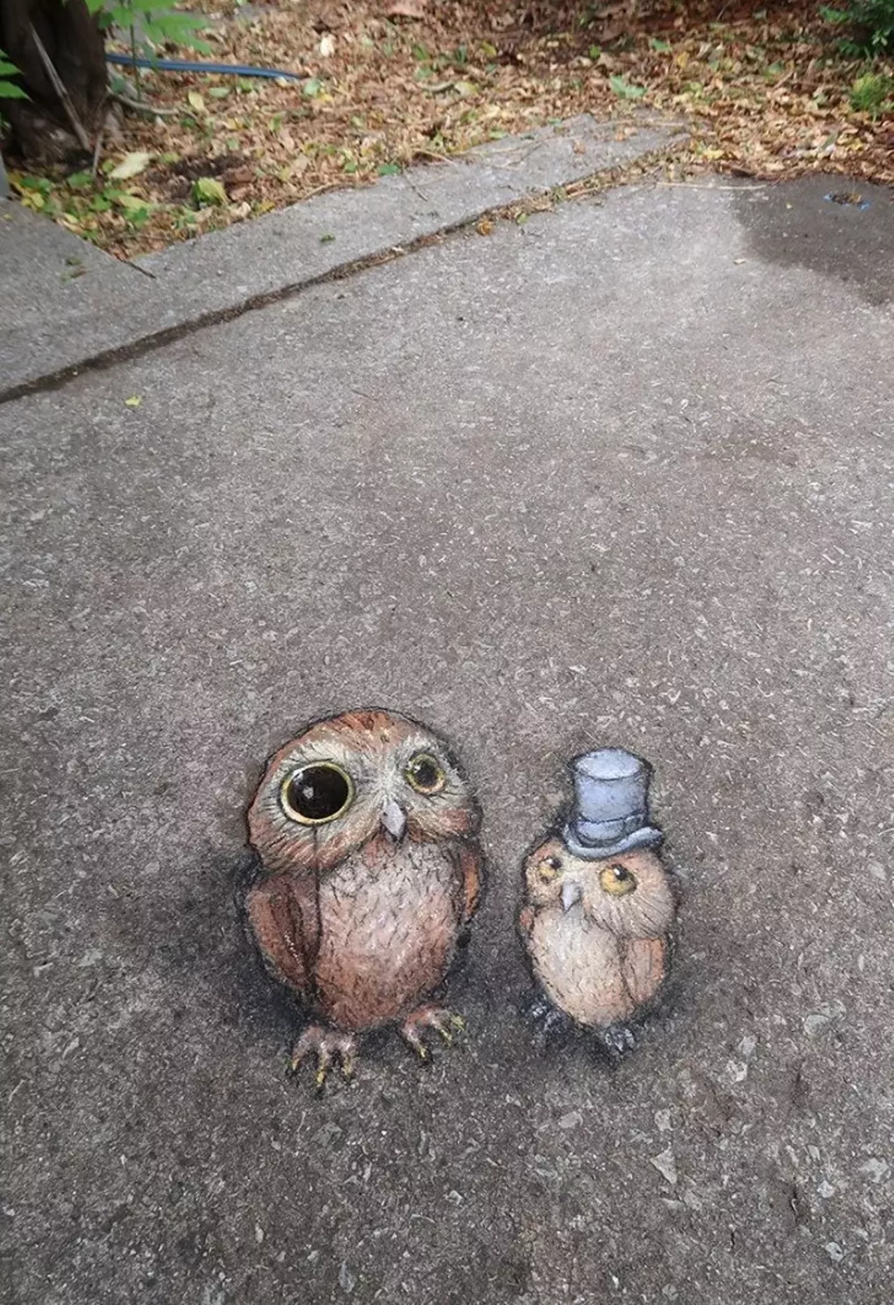 Image: See all of the adorable 3D chalk art made by this Michigan artist