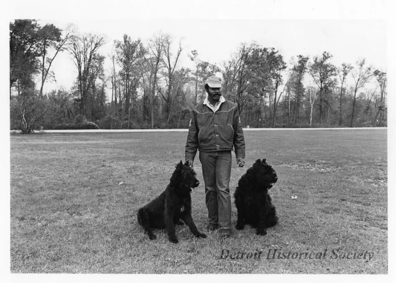 "Black and white photographic print depicting an African American man standing with two large black dogs on Belle Isle. Dated November 1973."