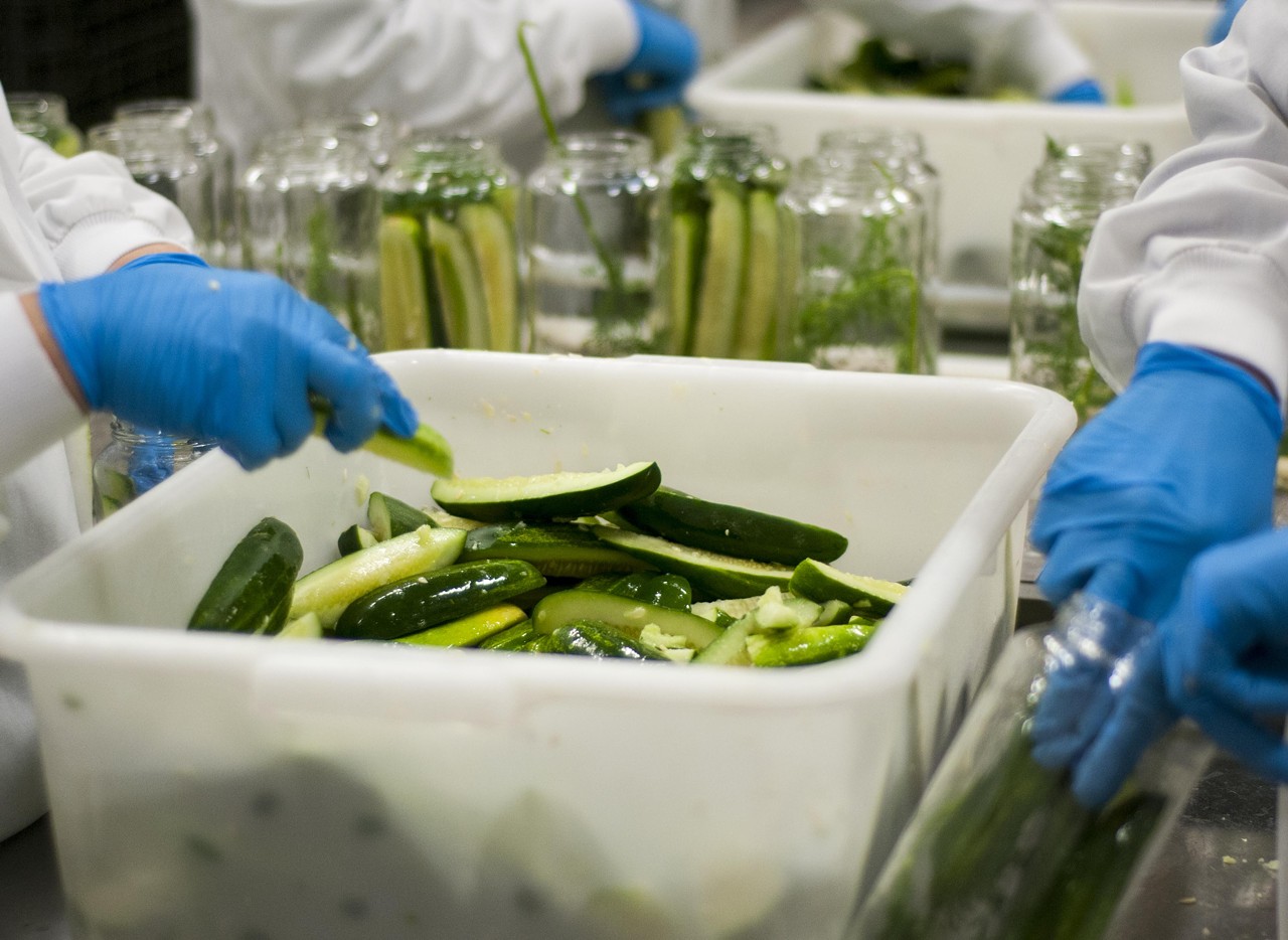 The crew stuffs the passing jars with cucumbers. McClure's pickle packers are fast-fingered, filling around 120 jars per hour.