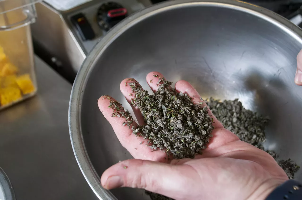 Pick some savory, thyme, and sage from the herb garden.