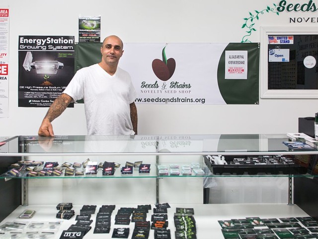 Seeds & Strains Novelty Seed Shop caters to marijuana growers