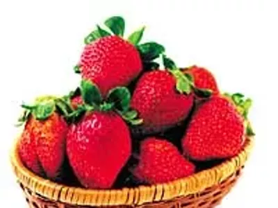 Image: Shortcake shortlist