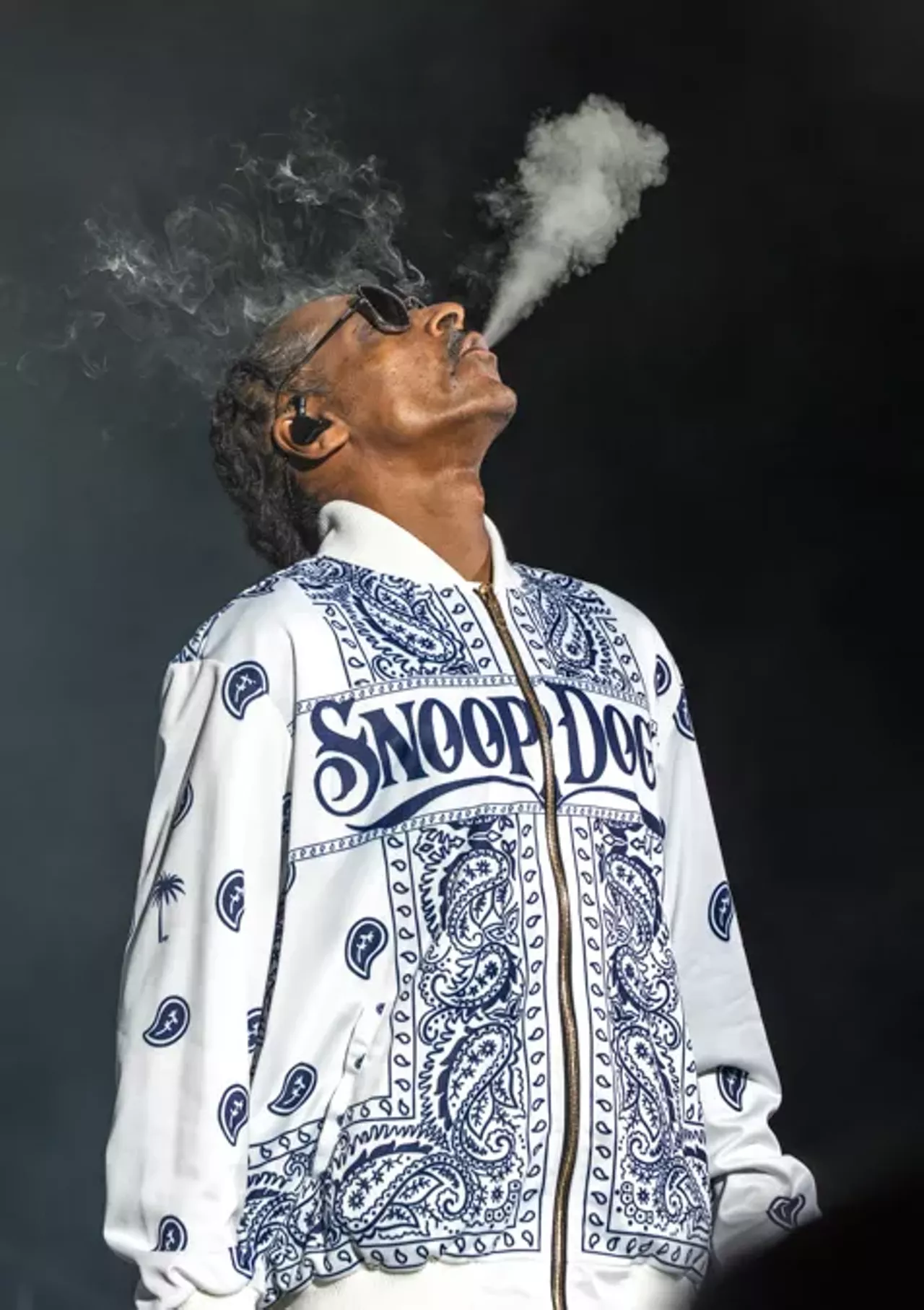 Image: Snoop Dogg and fans lit up Pine Knob