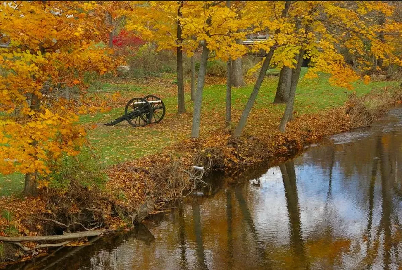 Ray Township Ray Township in Macomb County offers unparalleled views of fall greenery at Wolcott Mill Metropark. This multi-use area has a public farm, gardens, wooded trails, and even horse-drawn wagon rides through the crop fields. 