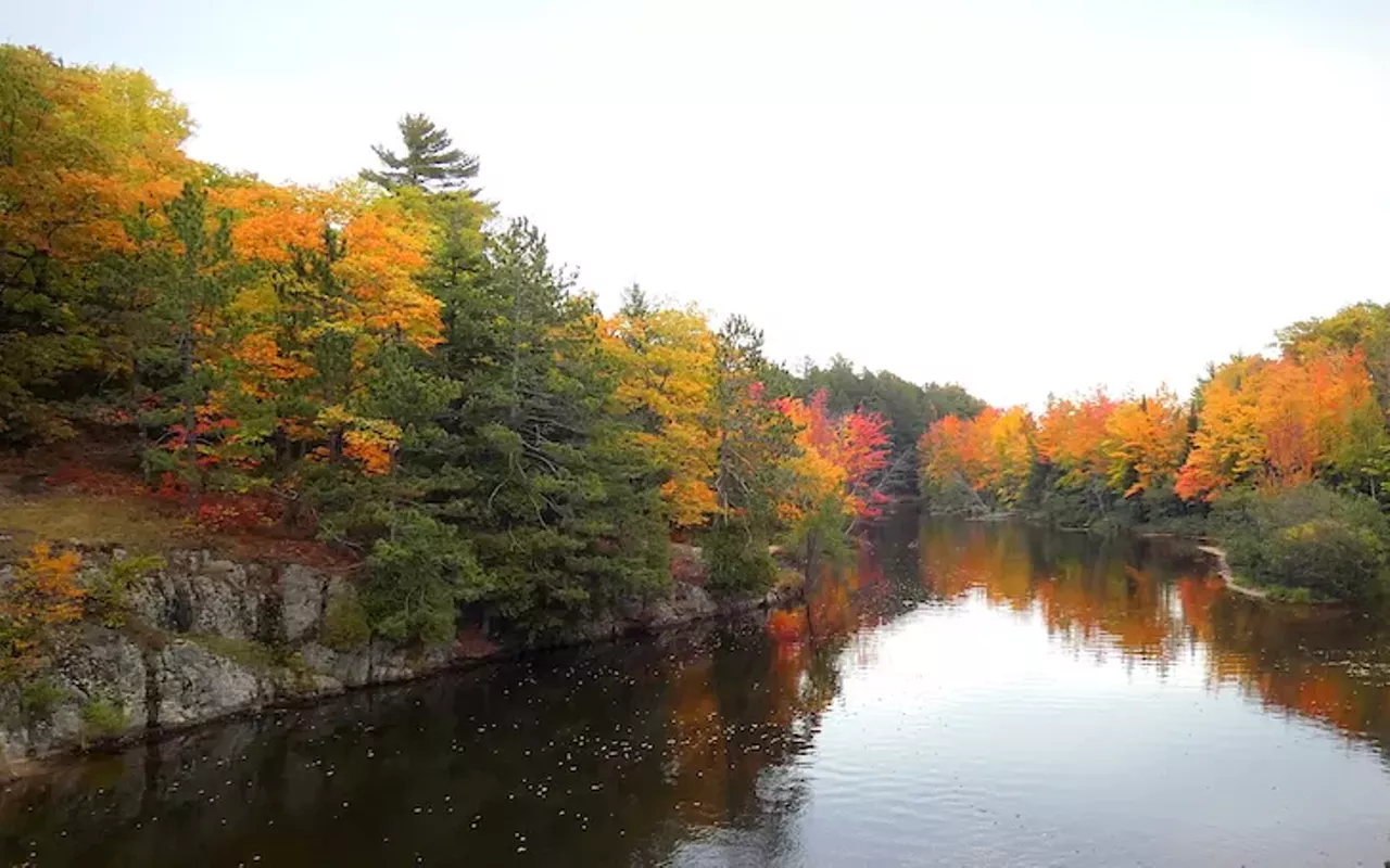 Dead River Marquette County Don't judge this place by its name, Dead River is very much alive. Hike the trails of Marquette while enjoying the colors of fall.